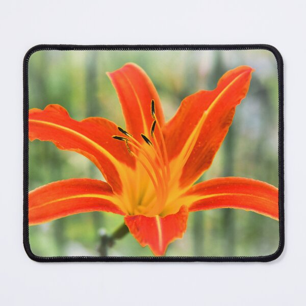 Item preview, Orange Lily designed and sold by JEZ22.