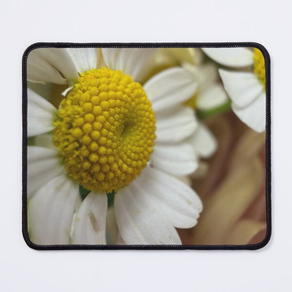 Item preview, Chamomile Flowers designed and sold by Betsy Phillips.