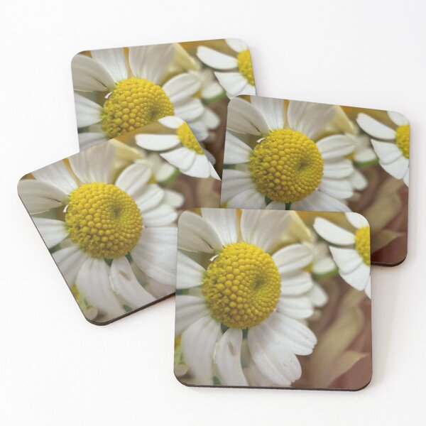 Item preview, Chamomile Flowers  designed and sold by Betsy Phillips.