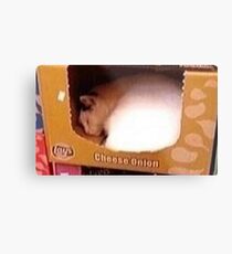 Cheese Onion Cat Metal Print