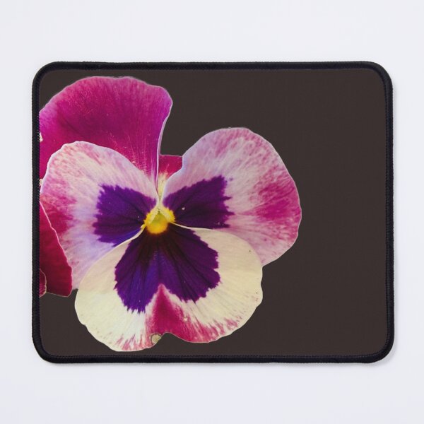 Item preview, Tricolor Purple and Cream Pansy Bloom Isolated designed and sold by BalkanBloom.