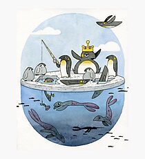 All Hail The Penguin King Photographic Print