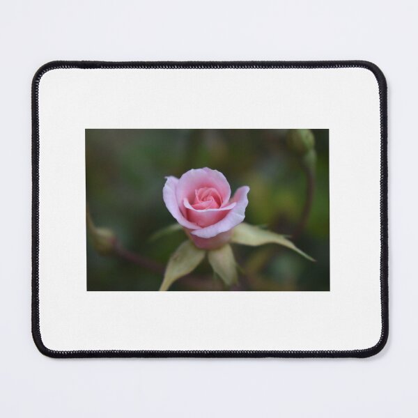 Item preview, Pink Rose designed and sold by Reion.