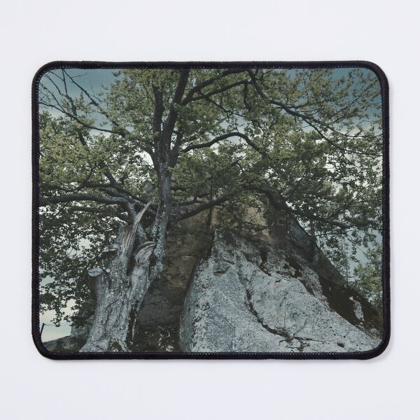 Item preview, An old tree clinging to a rock in a dark atmosphere. designed and sold by NaturePhotography.