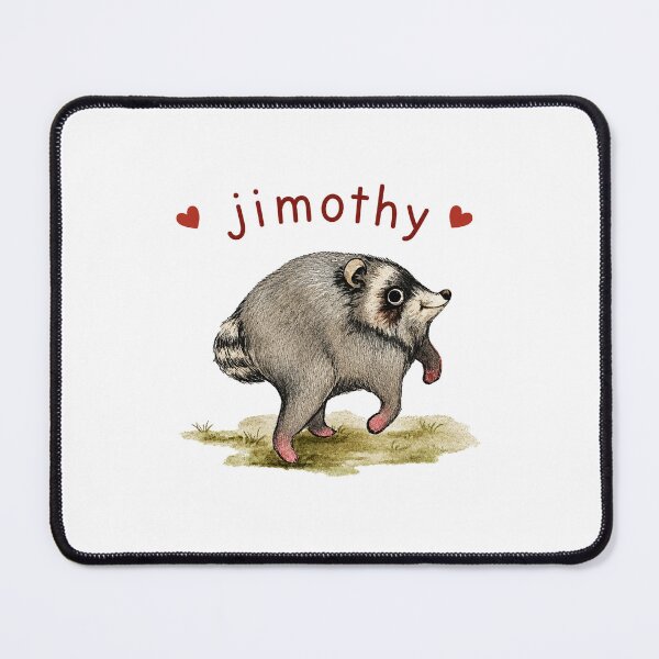Item preview, Jimothy Raccoon Ivory - Viral Seattle Raccoon, Short Spine Syndrome Raccoon designed and sold by oddbrick-parade.
