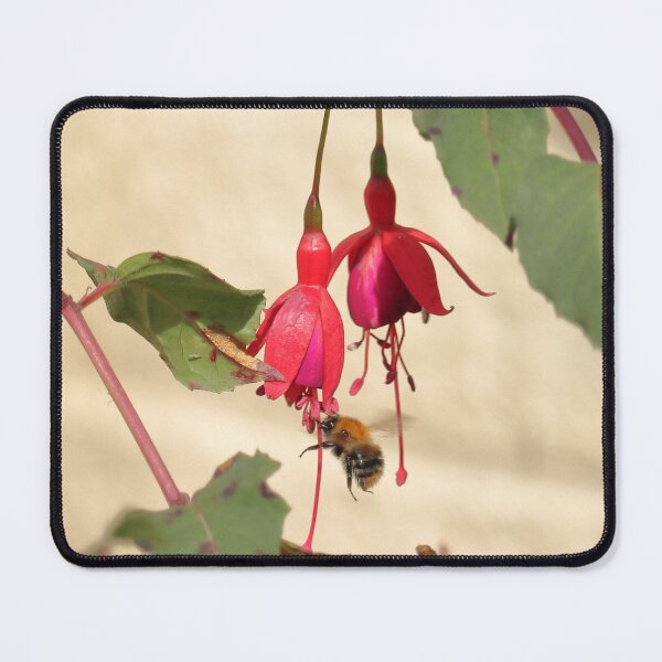 Item preview, Bumble Bee and fuchsia flower designed and sold by Bird22Shot.