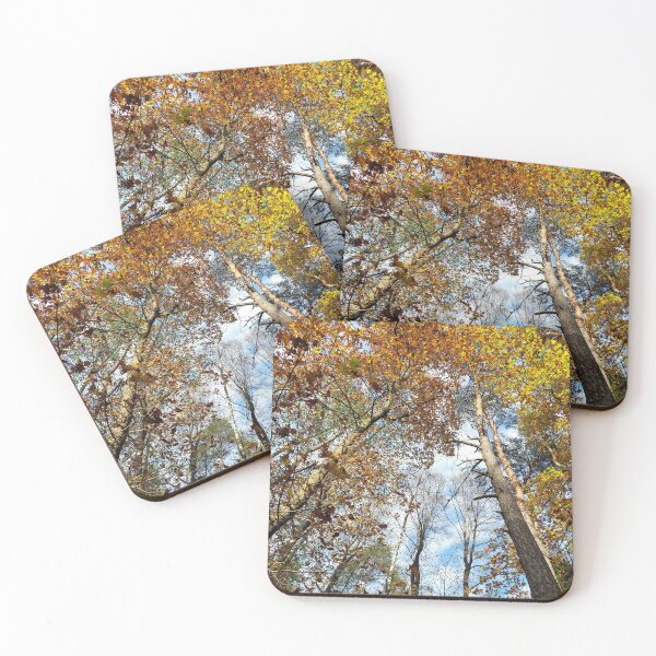 Item preview, View of a pine forest from a lower perspective designed and sold by MartinSlow.