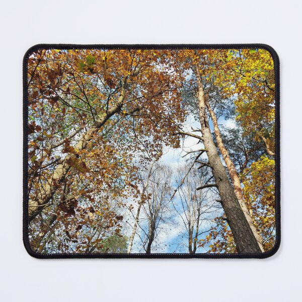 Item preview, View of a pine forest from a lower perspective designed and sold by MartinSlow.