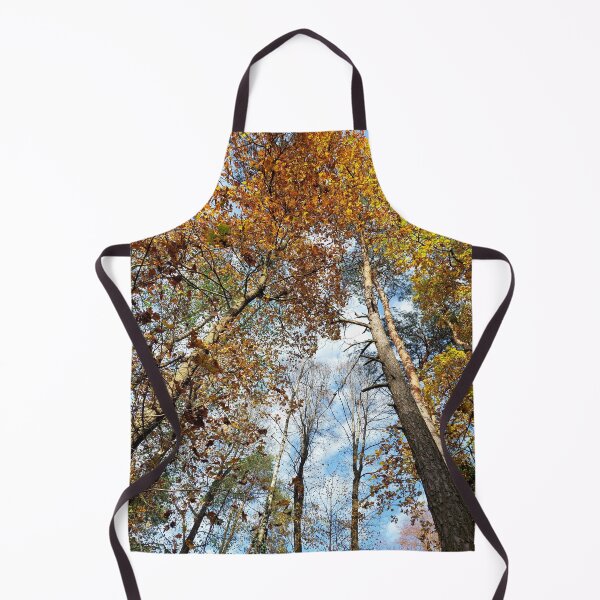 Item preview, View of a pine forest from a lower perspective designed and sold by MartinSlow.