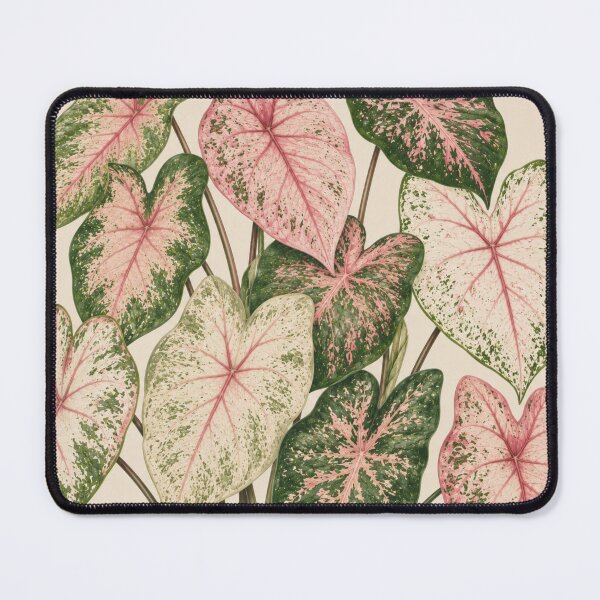 Item preview, Pink Caladium Leaves Botanical Illustration designed and sold by Mikena1996.