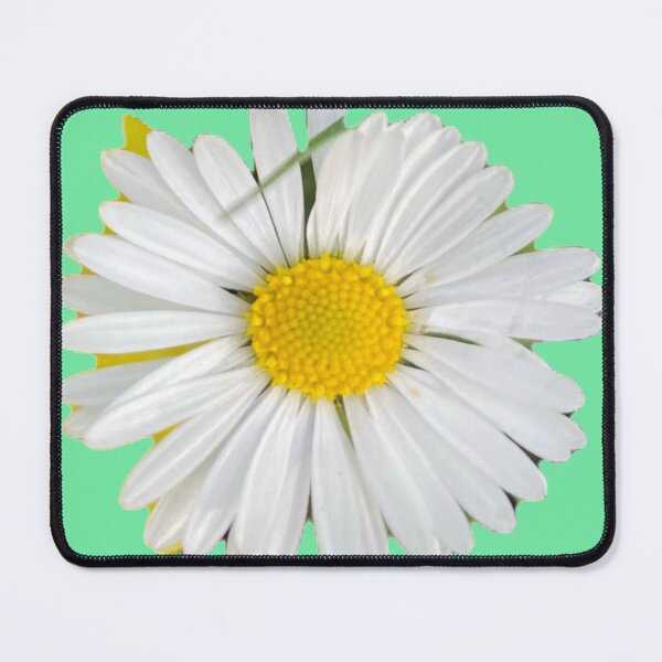 Item preview, Isolated Daisy Flower Head Close Up Top View designed and sold by BalkanBloomArt.