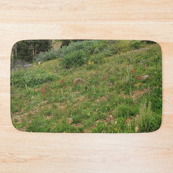 Item preview, Rocky Mountain Paintbrush Meadow designed and sold by Brian Kerls Photography.