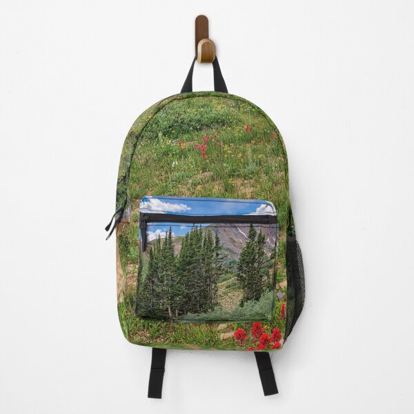 Item preview, Rocky Mountain Paintbrush Meadow designed and sold by Brian Kerls Photography.