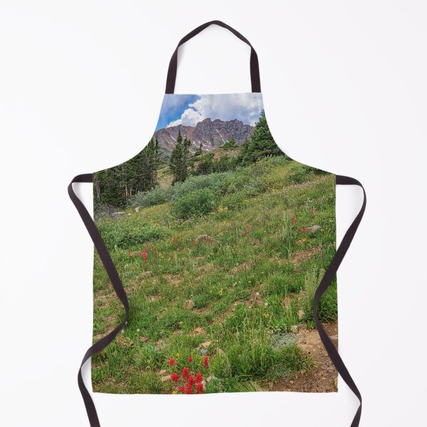 Artikelvorschau, Rocky Mountain Paintbrush Meadow entworfen und verkauft von Brian Kerls Photography.