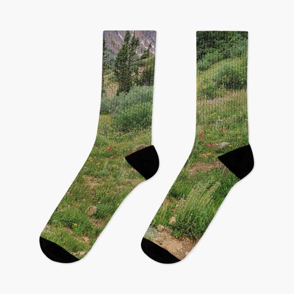 Item preview, Rocky Mountain Paintbrush Meadow designed and sold by Brian Kerls Photography.