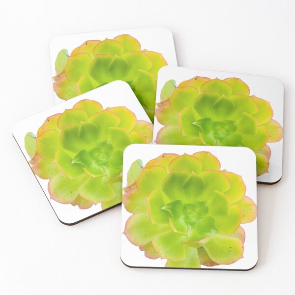 Item preview, Isolated Green Succulent Aeonium Flower Botanical Graphic Cutout designed and sold by BalkanBloomArt.