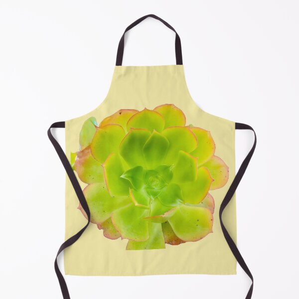 Item preview, Isolated Green Succulent Aeonium Flower Botanical Graphic Cutout designed and sold by BalkanBloom.