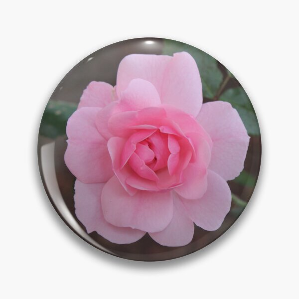 Item preview, Pink Rose designed and sold by vmsdesigns.