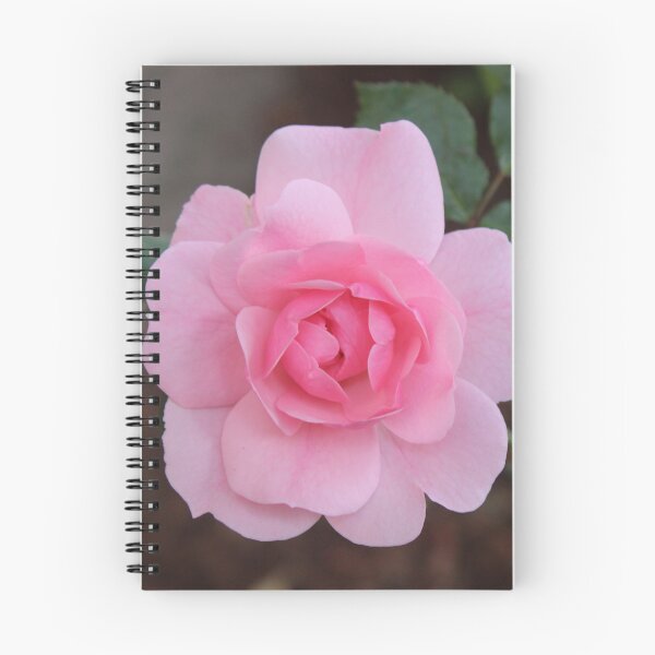 Item preview, Pink Rose designed and sold by vmsdesigns.
