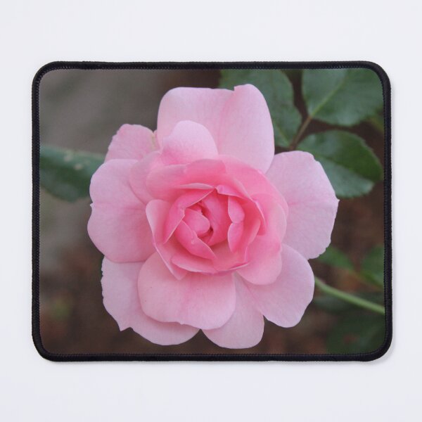 Item preview, Pink Rose designed and sold by vmsdesigns.