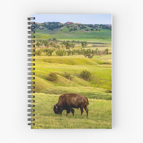 Item preview, Bison Overlook designed and sold by Brian Kerls Photography.
