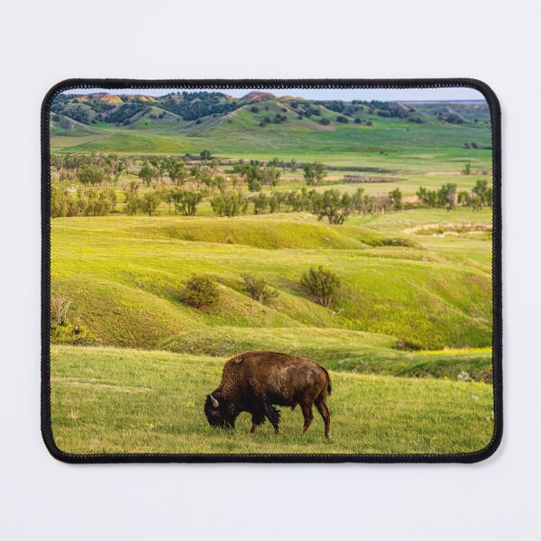 Artikelvorschau, Bison-Aussichtspunkt entworfen und verkauft von Brian Kerls Photography.