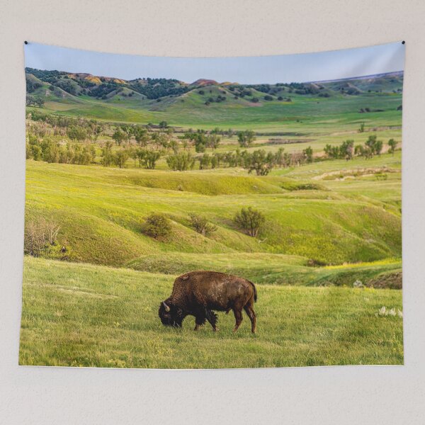 Item preview, Bison Overlook designed and sold by Brian Kerls Photography.