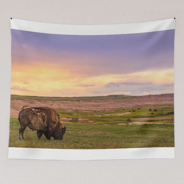 Aperçu de l'œuvre Bisons au coucher du soleil créée et vendue par Brian Kerls Photography.