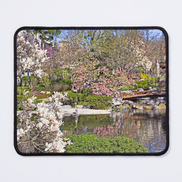 Item preview, Magnolia flower in Setagaya Park at springtime, Vienna, Austria designed and sold by goceris.