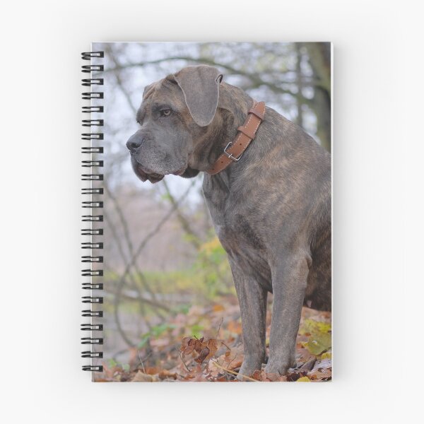 Item preview, Dog's focus designed and sold by MartinSlow.
