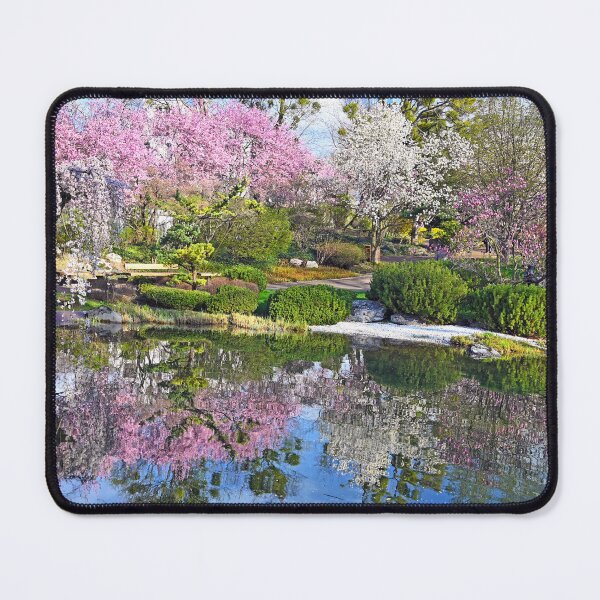 Item preview, Blossoming trees are reflected in the water, Setagaya Park in Vienna, springtime designed and sold by goceris.