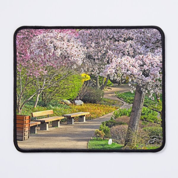 Item preview, Blossoming tree in Setagaya Park in Vienna at springtime designed and sold by goceris.