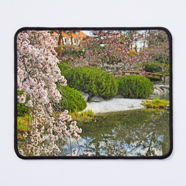 Item preview, Blossoming tree and pond in Setagaya Park in Vienna at springtime designed and sold by goceris.