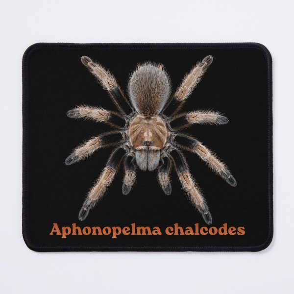 Item preview, Aphonopelma chalcodes SP-008 designed and sold by Exotic-Atlas.