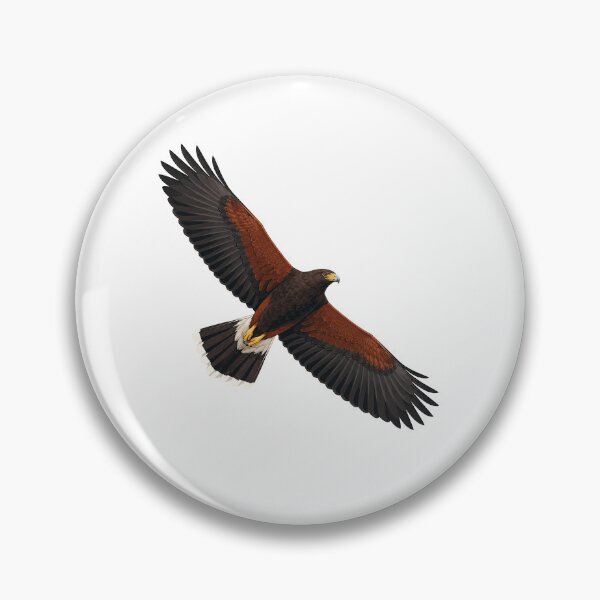 Item preview, Harris's Hawk designed and sold by jamesgerardking.