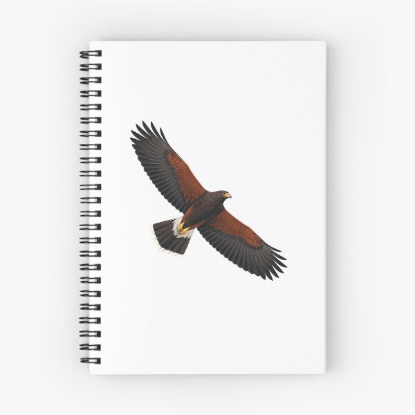 Item preview, Harris's Hawk designed and sold by jamesgerardking.