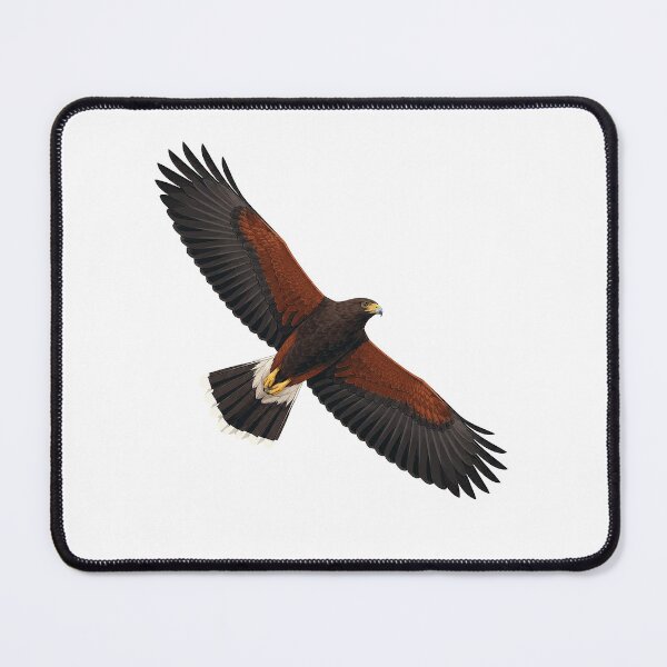 Item preview, Harris's Hawk designed and sold by jamesgerardking.