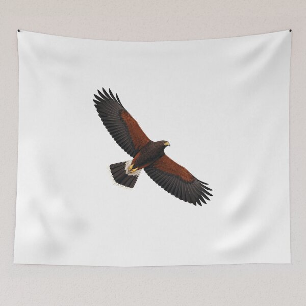 Item preview, Harris's Hawk designed and sold by jamesgerardking.