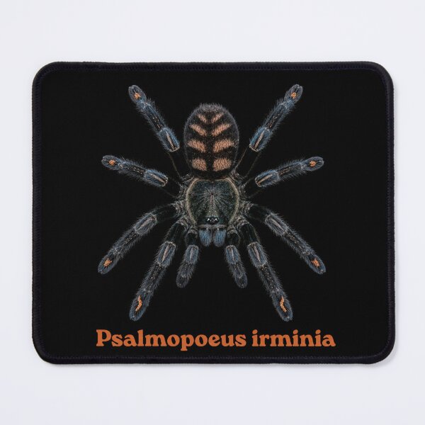 Item preview, Psalmopoeus irminia SP-009 designed and sold by Exotic-Atlas.