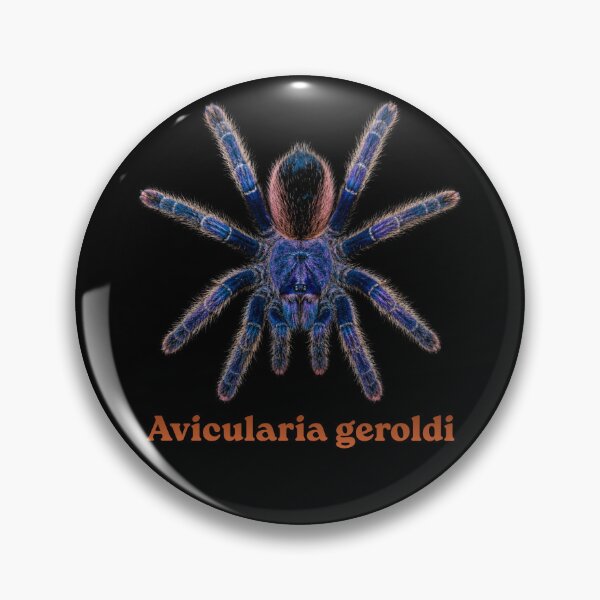 Item preview, Avicularia geroldi SP-010 designed and sold by Exotic-Atlas.