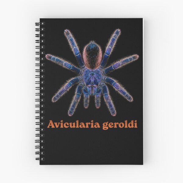 Item preview, Avicularia geroldi SP-010 designed and sold by Exotic-Atlas.
