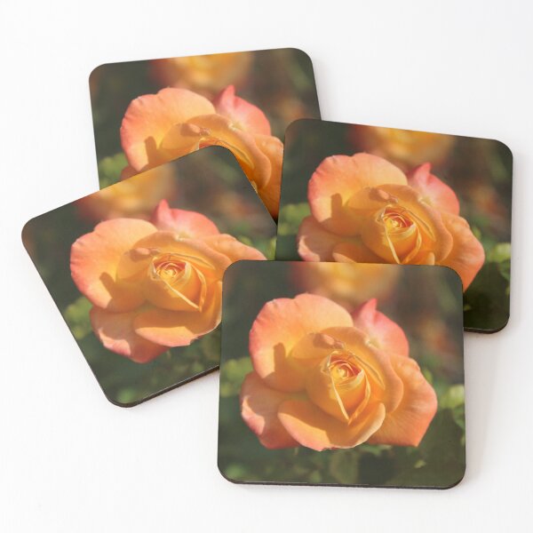 Item preview, Golden apricot rose flower - Soft nature photography designed and sold by Cha-s-lens.
