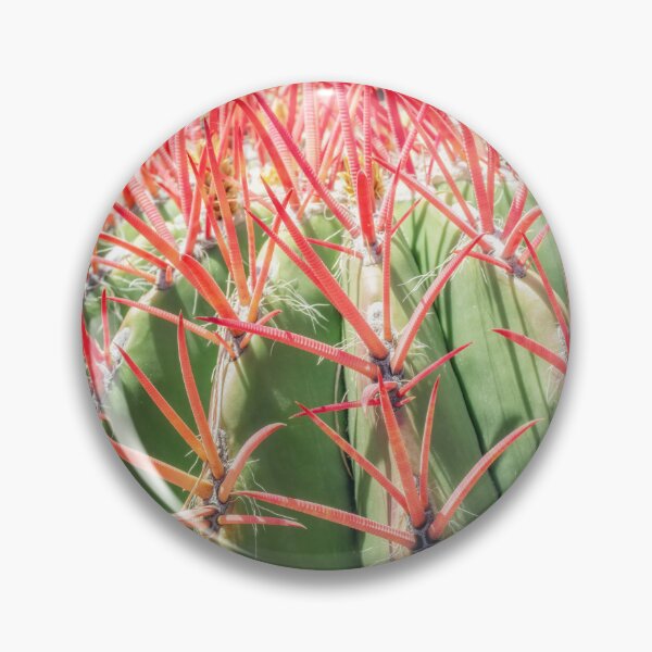Item preview, Mexican Lime Barrel Cactus with Vibrant Spines designed and sold by PhotoArt by Joan Carroll.