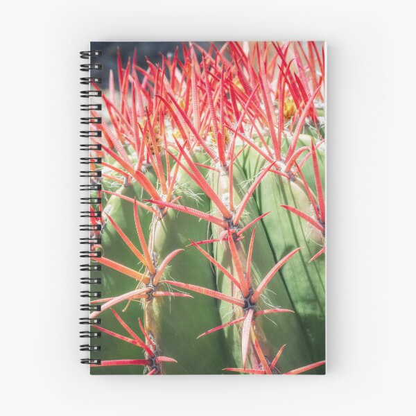 Item preview, Mexican Lime Barrel Cactus with Vibrant Spines designed and sold by PhotoArt by Joan Carroll.