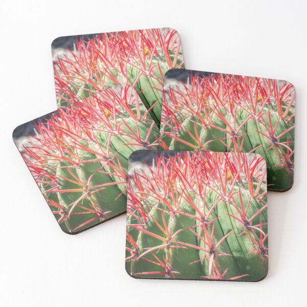Item preview, Mexican Lime Barrel Cactus with Vibrant Spines designed and sold by PhotoArt by Joan Carroll.