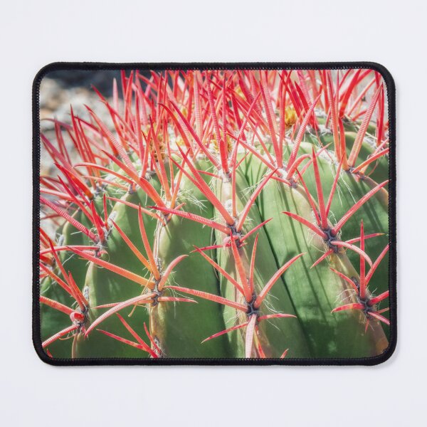 Item preview, Mexican Lime Barrel Cactus with Vibrant Spines designed and sold by PhotoArt by Joan Carroll.