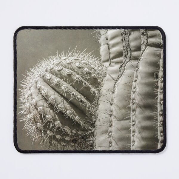 Item preview, Close-Up of Cactus Textures designed and sold by PhotoArt by Joan Carroll.