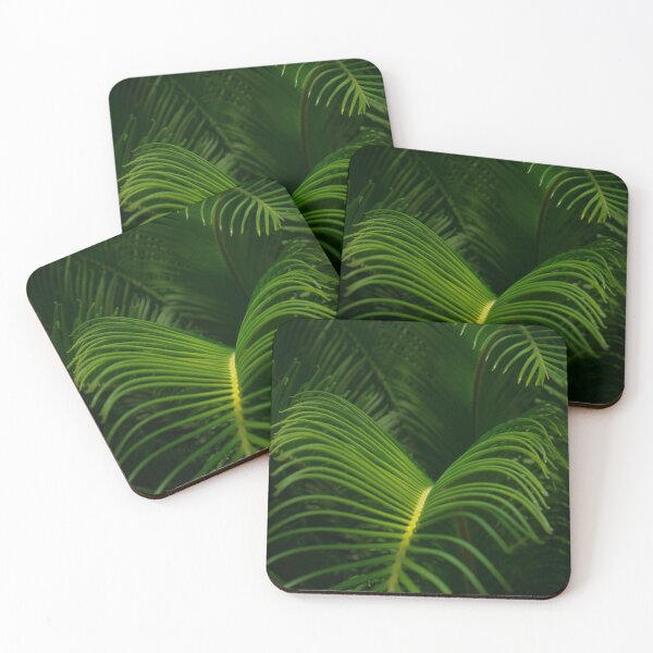 Item preview, Sago Palm designed and sold by shopKaylaMarie.