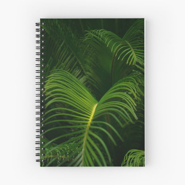 Item preview, Sago Palm designed and sold by shopKaylaMarie.