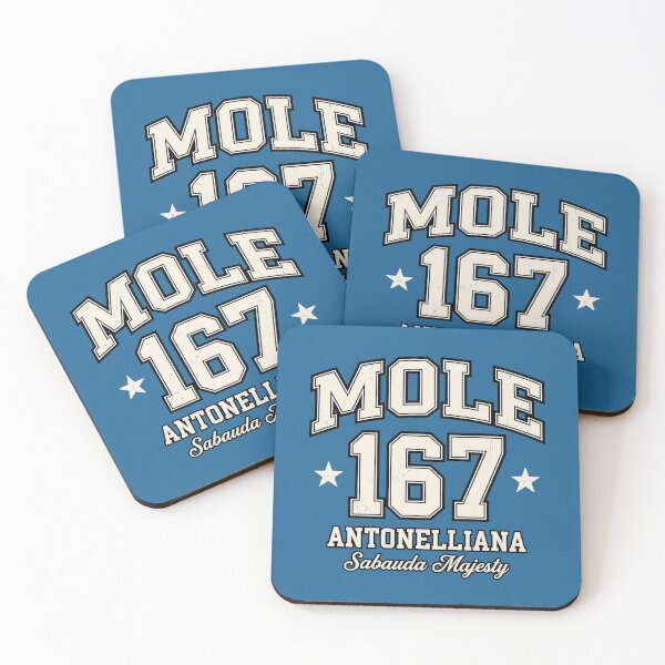 Item preview, Mole 167 Antonelliana - Sabauda Majesty Vintage Varsity designed and sold by Torinostalgia.
